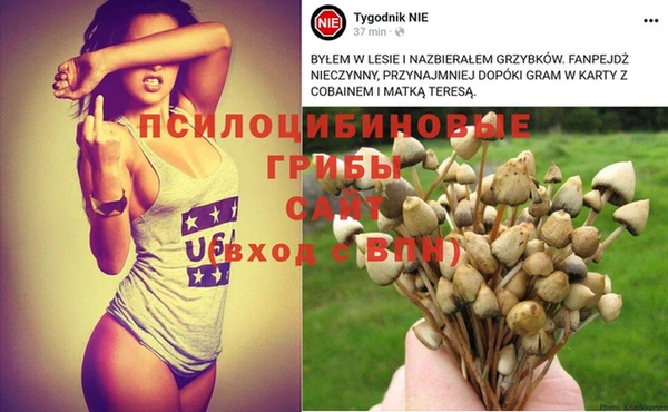 соль курить ск Покровск