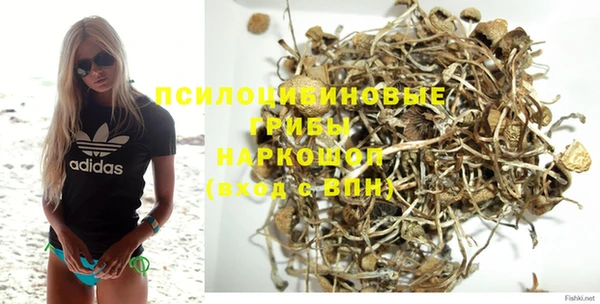 Альфа ПВП Покачи