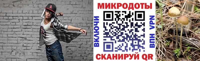 Галлюциногенные грибы мухоморы  гидра онион  Усолье  где можно купить  